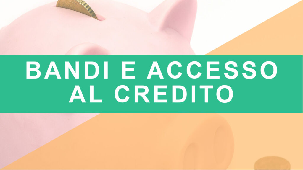 Bandi e accesso al credito