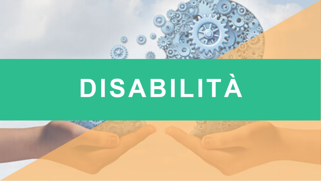 Disabilità